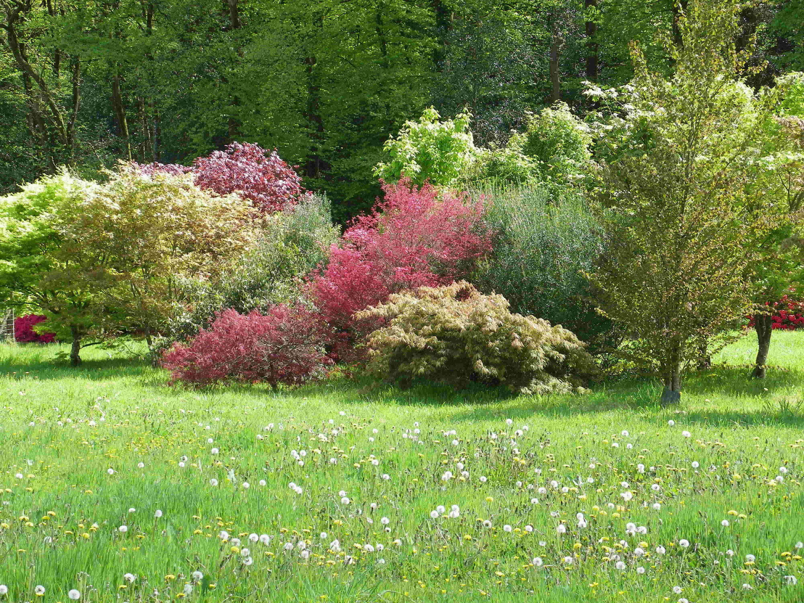 jardin chantal et joseph